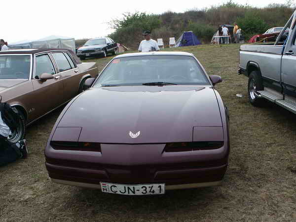 pict0029.jpg
