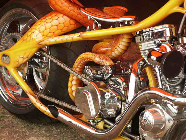pict0064.jpg