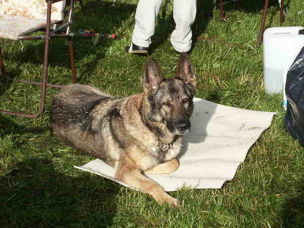 pict0003.jpg