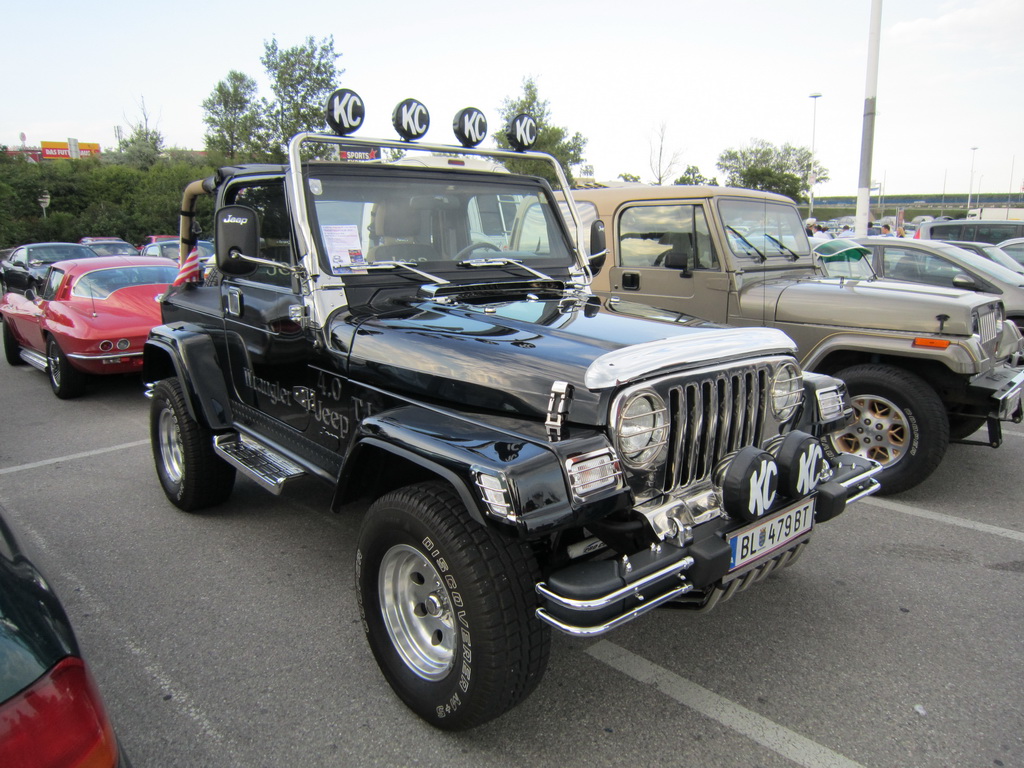 pict0010.jpg